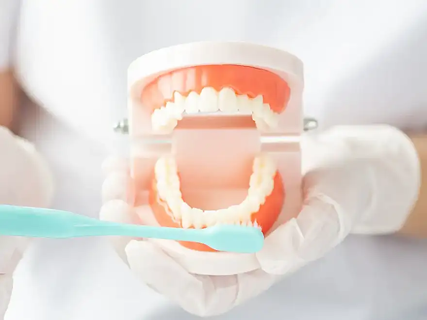 予防歯科　イメージ図