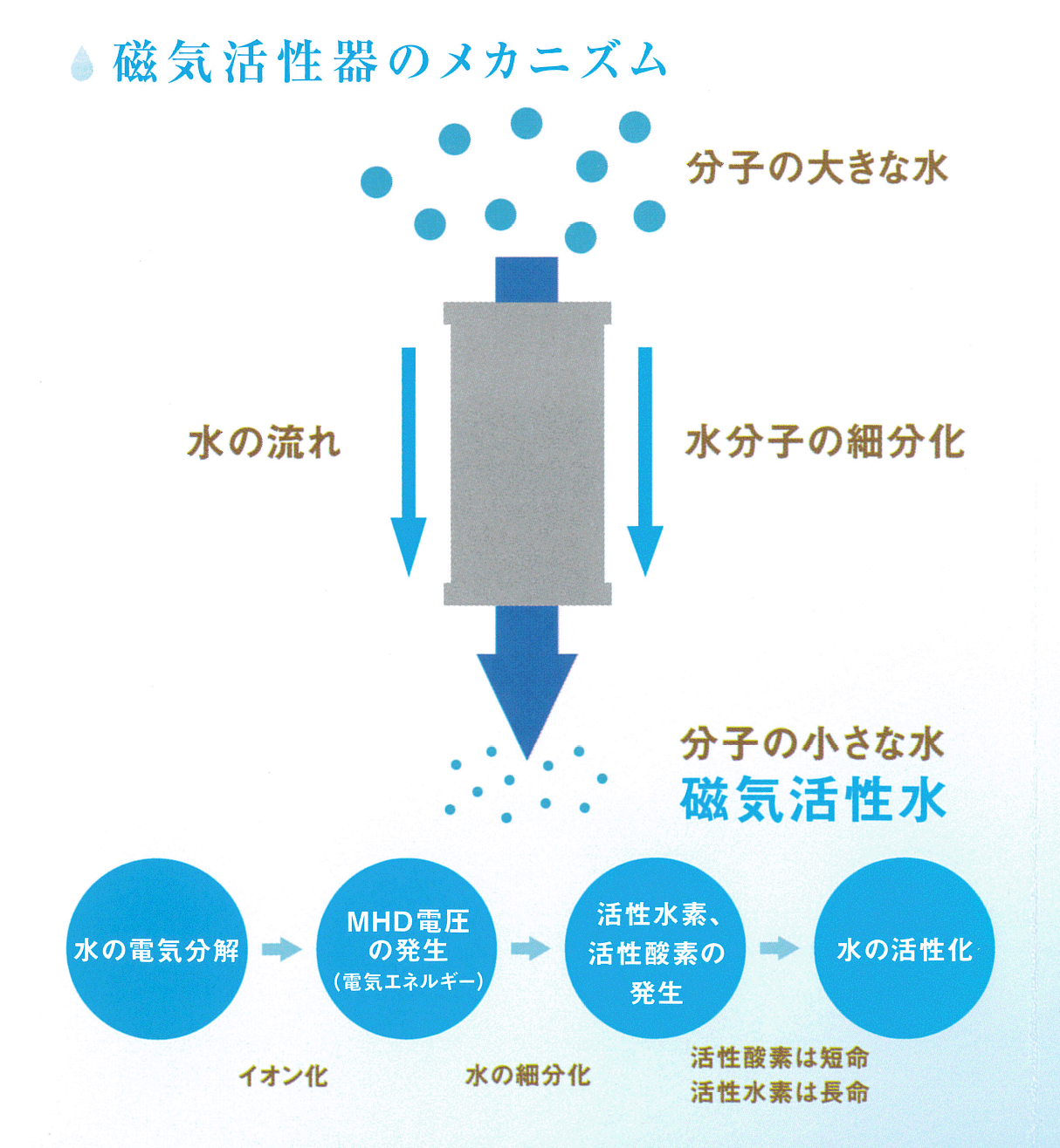 磁気活性水